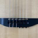 Godin Multiac Nylon Deluxe