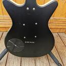 Danelectro 12 strings