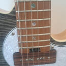 Aria Nashville tele