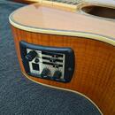Yamaha CPX 900 Compass NT