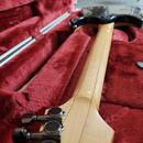 Ibanez RGA321F SBS Prestige + Bare Knuckle Black Hawk