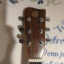 Aria G 300 