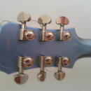 EPIPHONE Les Paul Standard + tremolo