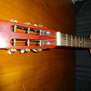banjo MUSIMA