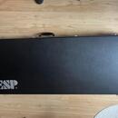ESP LTD Vulture - Metallica