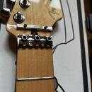 Fender Neck Floyd Rose