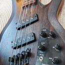 ESP LTD B-1004 MS NS