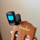 Fender ESC 80 3/4