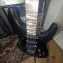 Hohner Professional Scorpion ST