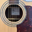 Harley Benton CLJ-503CE WN