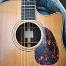 Furch Vintage 2 Dc-SR