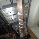 Hohner Professional Scorpion ST