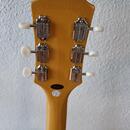 Epiphone Les Paul Special TV Yellow ZÁRUKA