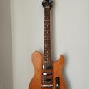 GODIN RADIUM WINCHESTER BROWN 