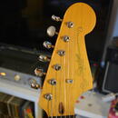 Modifikovaný jazzmaster (původně J. Mascis model)