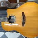 Ovation Celebrity 