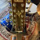Yamaha CPX700-12 NT Compass series