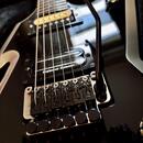 Dean Dimebag Razorback 2008 Korea