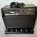Boss Acoustic Singer Pro