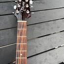 Kytara Takamine G Series EG260C-WR