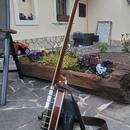 Pětistrunné banjo Čapek