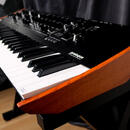 Korg Prologue 16