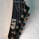 ESP LTD Alexi 200