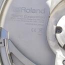 Roland VH-10.