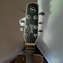 Seagull S6 Mahogany Deluxe A/E