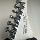 Washburn PX-Solar 160WHM 
