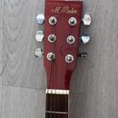 Elektroakustická kytara M. Parker W-8E/NAT