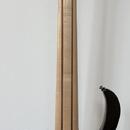 5-strunová basgitara Ibanez BTB 745, 1r záruka + gigbag