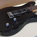Washburn RX10