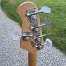 Music Man Stingray 5
