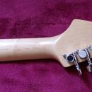 Stratocaster Collins