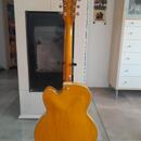 Ibanez pm 2aa