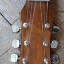 Banjo Mustang