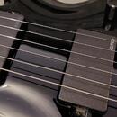 Elektrická kytara ESP LTD FRX-401 Black