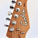 VÝHODNÉ Godin Stadium Pro Telecaster