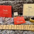 Fender American Professional Telecaster