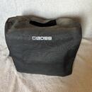 Boss Acoustic Singer Pro