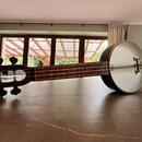 Magic fluke Firefly banjolele soprano ukulele