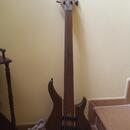 Harley Benton fretless