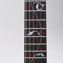 Ibanez Steve Vai's JEM77-FP2 - AKO NOVÁ!