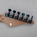 Jet Guitars JS-450 Rosewood, Transparent Green