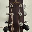 Sigma Guitars DMC-15E+ – stav nového kusu