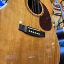 Cort Earth 100F NAT (elektronika Fishman)