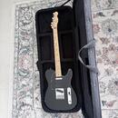 Fender Telecaster Standard 2016 MIM + puzdro