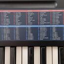 Casio CA -110