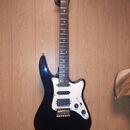 Godin g series USA 3000